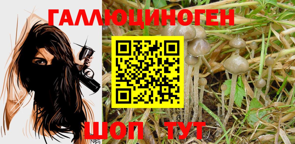 Псилоцибиновые грибы мицелий  Вход с VPN  Туймазы 